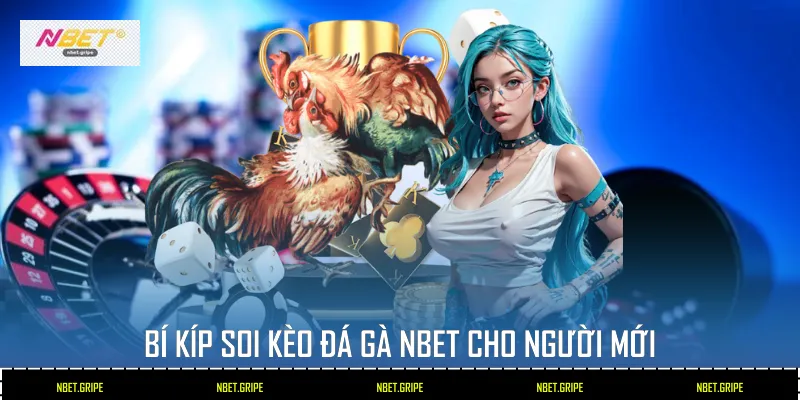 Bí kíp soi kèo Đá Gà Nbet cho người mới