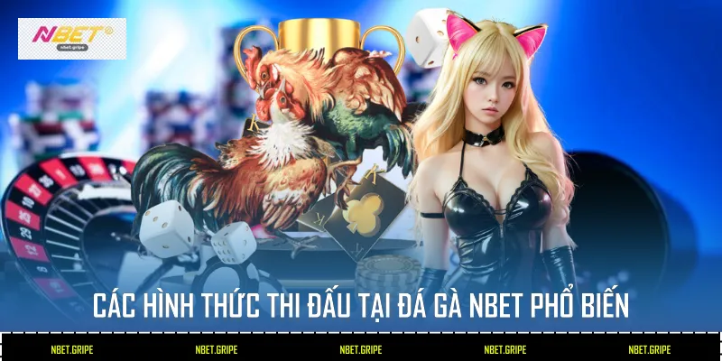 Các hình thức thi đấu tại Đá Gà Nbet phổ biến