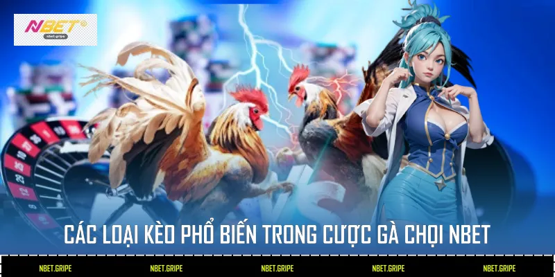 Các loại kèo phổ biến trong cược gà chọi NBET