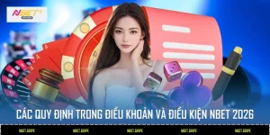 Điều Khoản Và Điều Kiện
