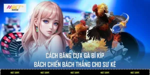 Cách băng cựa gà