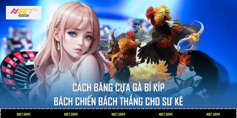 Cách băng cựa gà