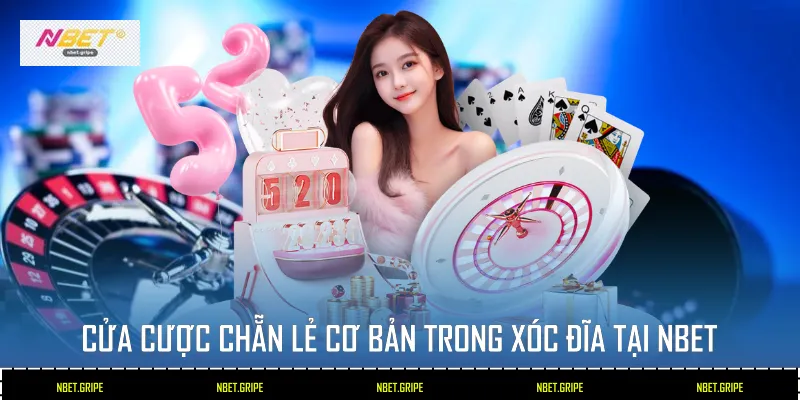Cửa cược Chẵn Lẻ cơ bản trong xóc đĩa tại Nbet