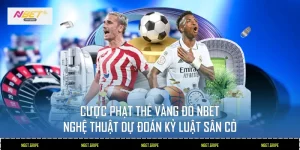 Cược Phạt Thẻ Vàng Đỏ
