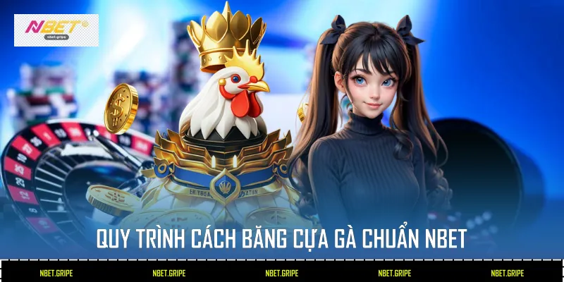 Quy trình cách băng cựa gà chuẩn NBET