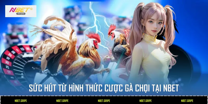Sức hút từ hình thức cược gà chọi tại NBET