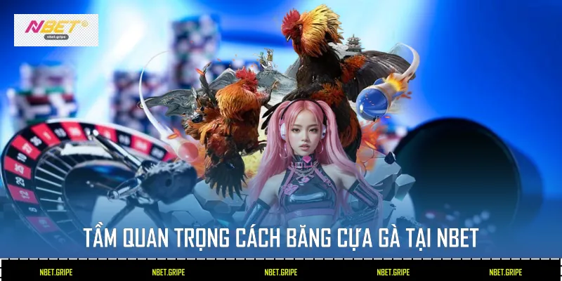 Tầm quan trọng cách băng cựa gà tại NBET