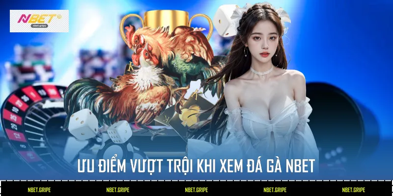 Ưu điểm vượt trội khi xem Đá Gà Nbet